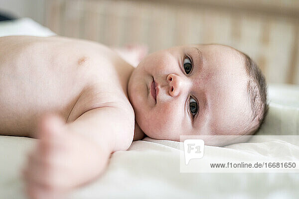 Portrait of cute shirtless baby boy lying on bed at home