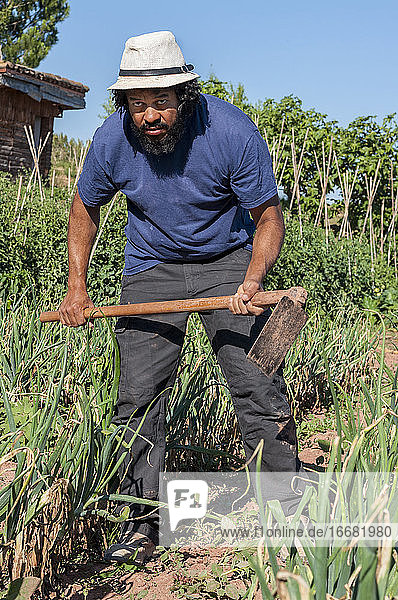 Kolumbianischer Mann mit einem Werkzeug in der Hand  im Obstgarten