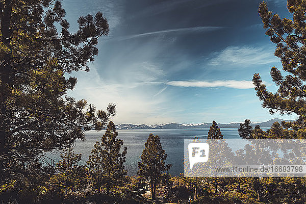 Landschaftsaufnahme des Lake Tahoe durch Pinienbäume gegen einen dramatischen Himmel