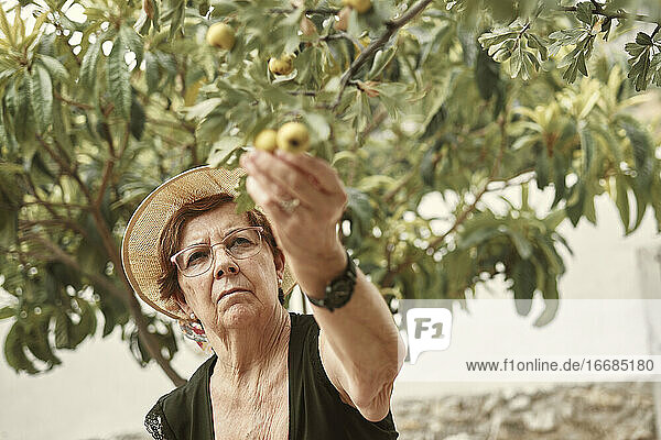 Eine ältere Frau pflückt Früchte aus ihrem eigenen städtischen Garten