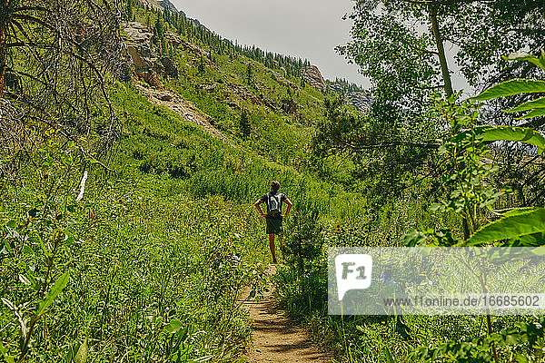 Young man hiking Aspen mountain during summer in Colorado.
