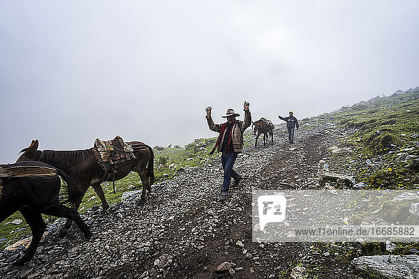 Reiter mit Pferden auf dem Salkantay-Pfad in den Anden am nebligen Morgen  Peru