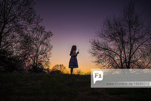 Kleines Mädchen hält Blume silohette lange Haare Sommerabend Sonnenuntergang
