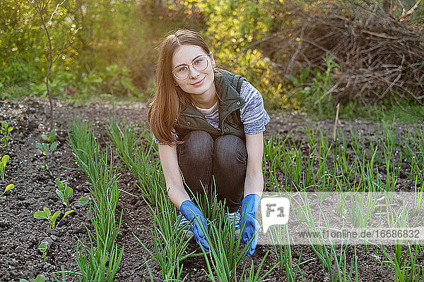 woman works on the ground growing organic plants  fruits and vegetable