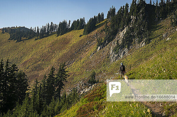 Wanderer und Hund auf einem Wanderweg durch eine offene Bergwiese