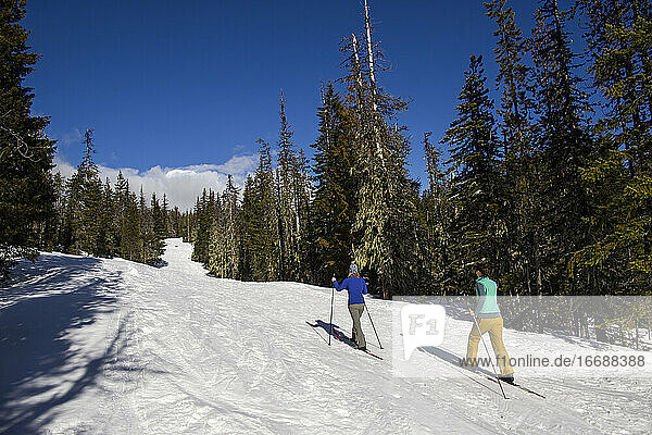 Two young women cross-country ski on Mt. Hood on a sunny day.