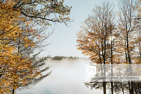 Nebliger Morgenblick auf den See durch die Bäume an einem Herbsttag.
