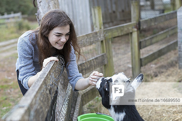 Hübsches Teenager-Mädchen lächelnd und streicheln Ziege in Bauernhof Einstellung