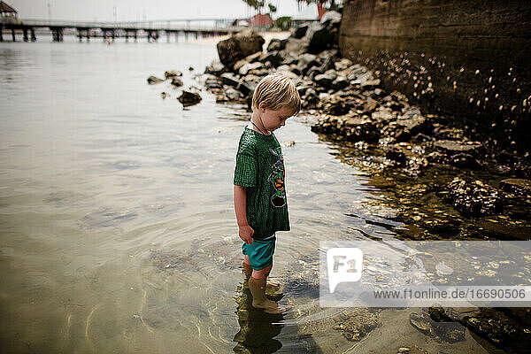 Sechsjähriger Junge betrachtet in der Coronado-Bucht stehende Felsen