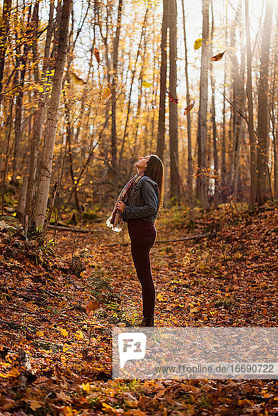 Frau  die an einem Herbsttag im Wald steht und zu den Bäumen hinaufschaut.