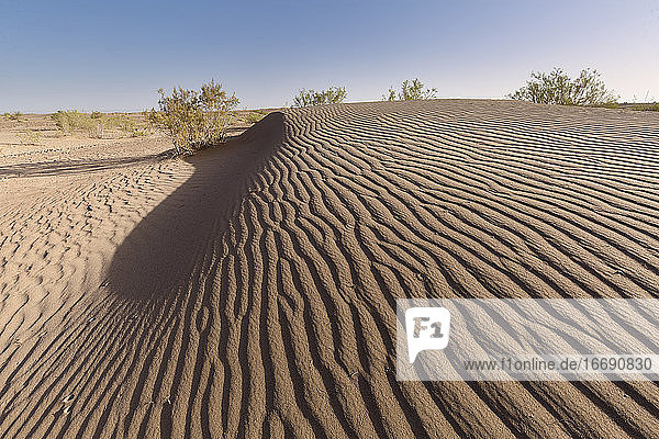 Landscape in the desert in the town of M´Hamid