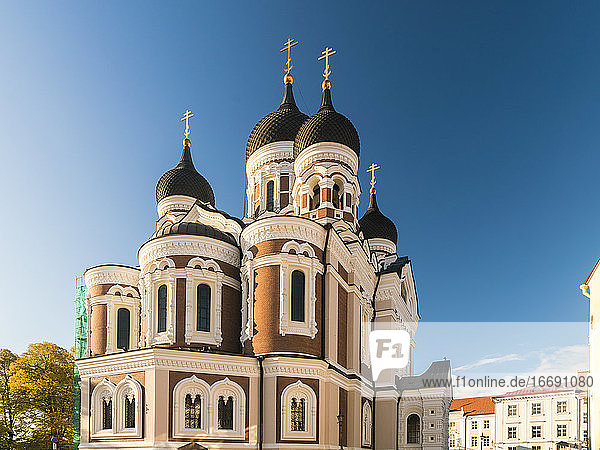 Alexander-Newski-Kathedrale  Nevski katedraal russisch in der Altstadt
