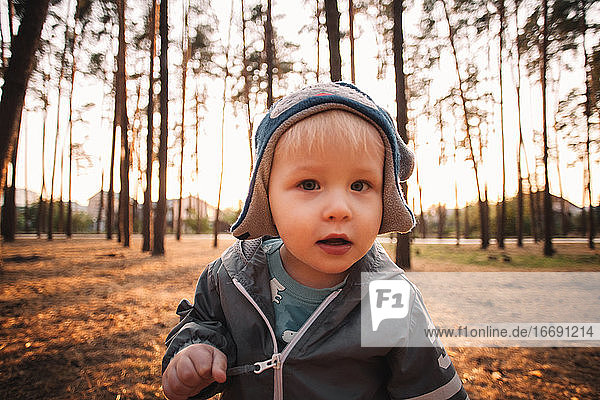 Portrait of adorable baby boy looking at camera in forest in autumn
