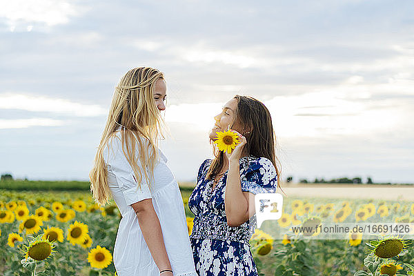 couple of attractive women one blonde and the other brunette posing in their designer dresses in a field of sunflowers