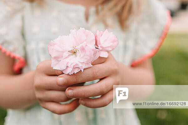 Kleinkind Mädchen hält Kirschblüten