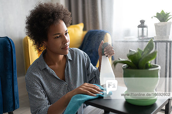 Schwarze Hausfrau besprüht Pflanze und wischt den Tisch