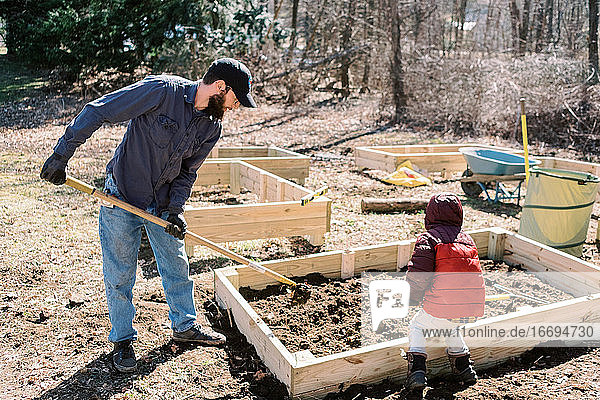 A father and son preparing raised garden beds in early spring.