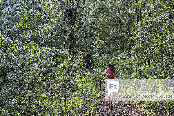 Eine Frau  die von hinten gesehen auf einem Pfad in einem dichten Wald läuft