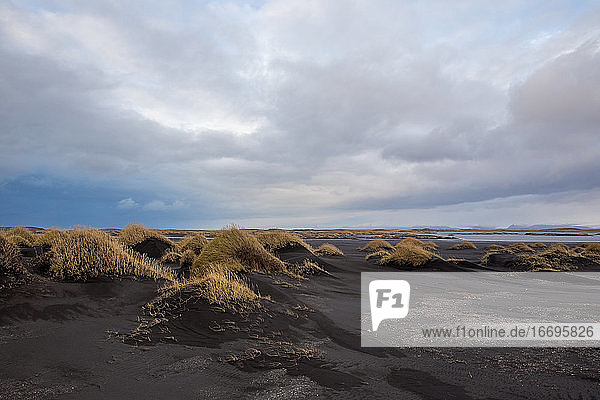 Windgepeitschte schwarze Sanddünen von Stokksnes  Island