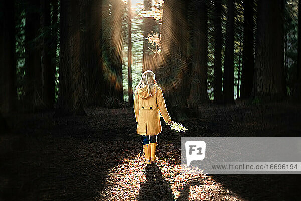 Young woman walking in beautiful New Zealand forest with silver fern leaf