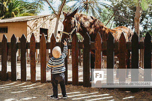 Kind berührt ein Pferd hinter dem Zaun an einem sonnigen Tag