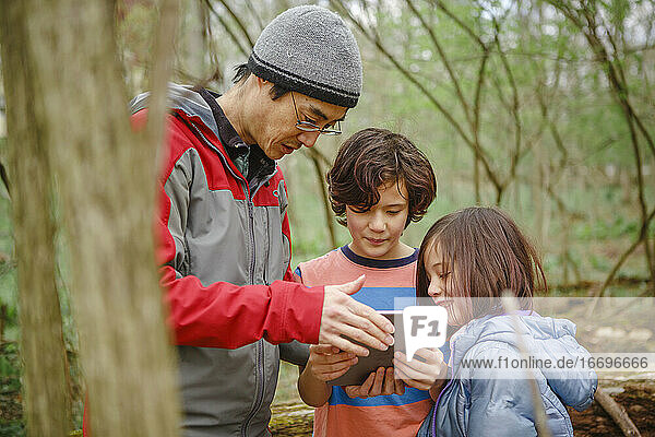 Ein Vater und seine Kinder betrachten bei einem Waldspaziergang im Frühling eine Tafel