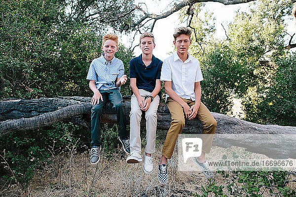 Portrait Of Three Handsome Boys Sitting On A Large Branch
