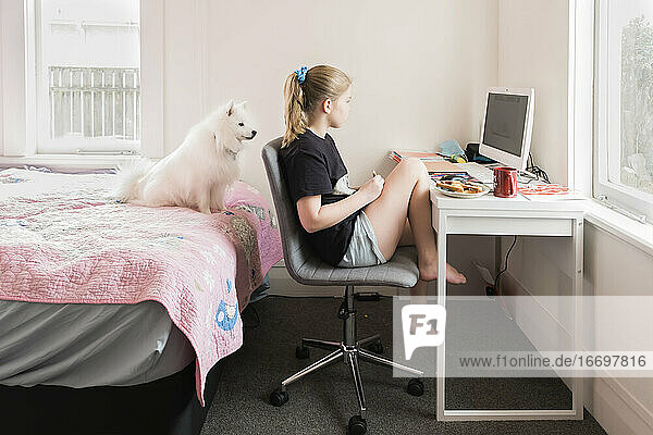 Junges Mädchen lernt virtuell an einem Computer in ihrem Schlafzimmer mit ihrem Hund