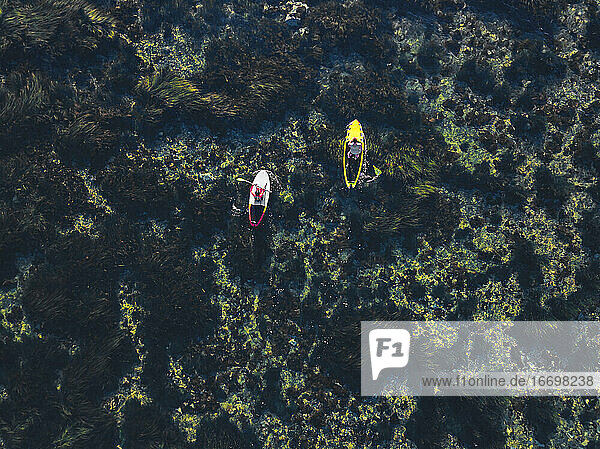 Aerial view of SUP surfers  Primorsky region  Russia