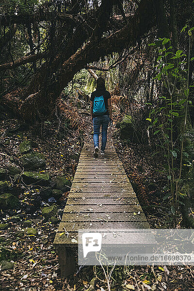 Junge Frau geht über eine Brücke im Banks Peninsula Forest  NZ