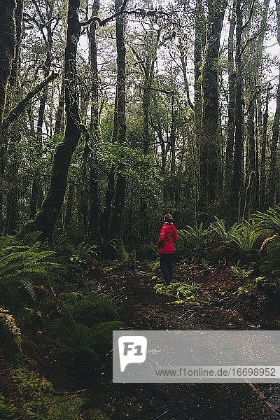 Junge Frau beim Wandern durch üppige Wälder am Milford Sound  Neuseeland