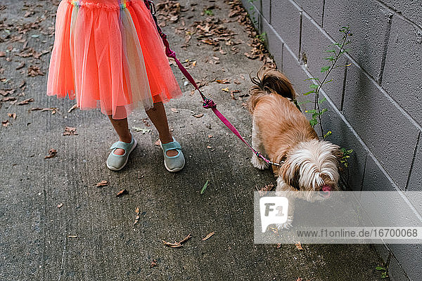 Mädchen in orangefarbenem Kleid und blauen Schuhen führt kleinen Hund aus