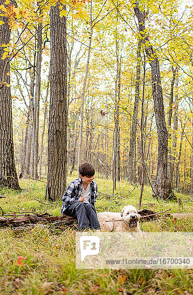 Young boy playing in the woods with his dog on an autumn day.