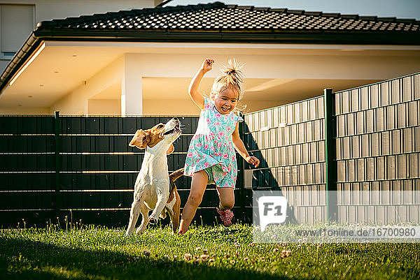 Baby-Mädchen läuft mit Beagle-Hund im Hinterhof im Sommer Tag. Haustier mit Kindern Konzept.