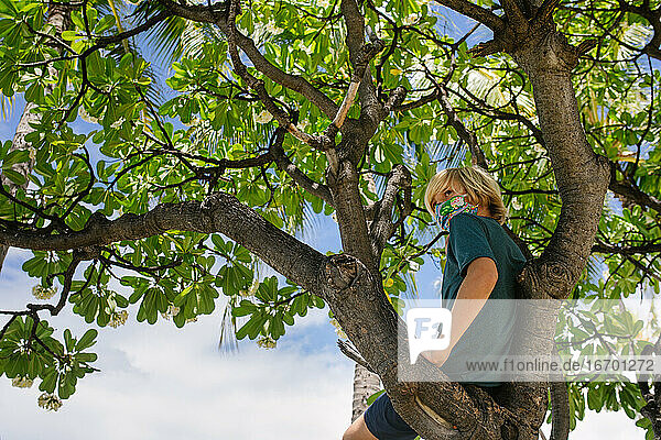 Tween Boy sitzt allein in einem Baum auf Hawaii und trägt eine bunte Maske