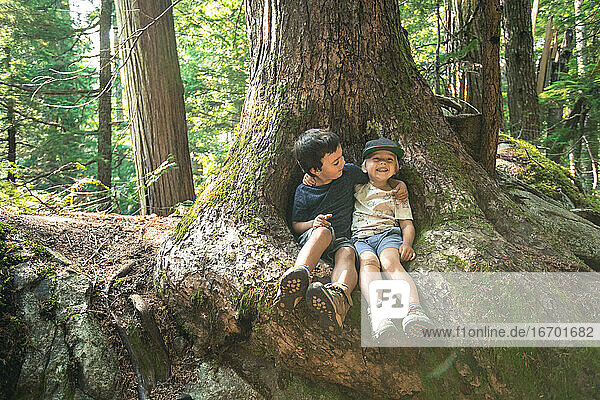 Zwei junge Freunde umarmen sich glücklich unter einem großen Baum