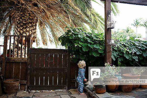 Zwei Jahre alt in Pyjamas Stehen im Vorgarten Blick auf Weinrebe