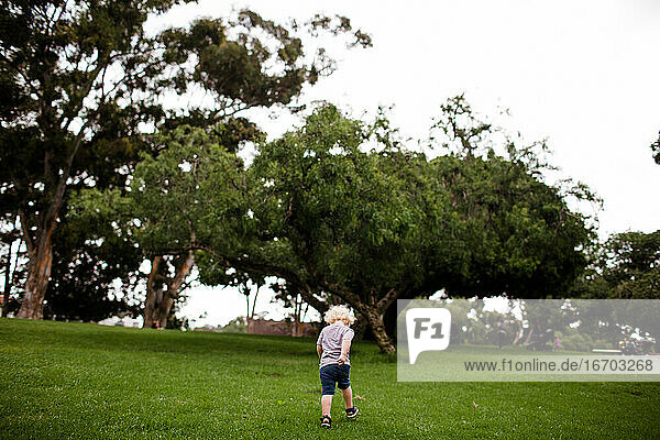 Two Year Old Running Through Park with Back to Camera