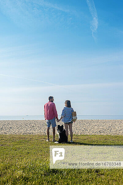 Rückansicht eines Paares  das am Strand in der Nähe seines Hundes steht und die Hände hält