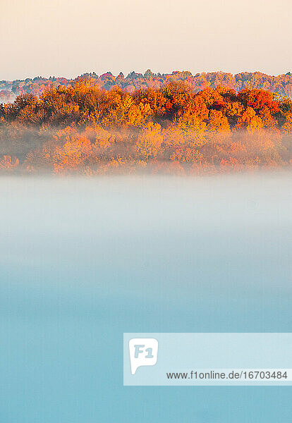 Hilltop fall foliage surrounded by clouds at sunrise