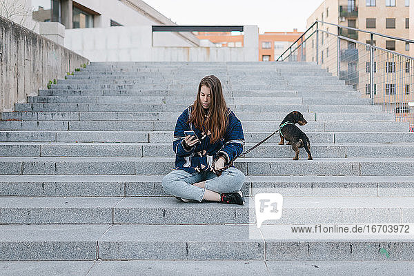 Junge erwachsene Frau sitzt nach einem Spaziergang neben ihrem Hund und schaut auf ihr Handy