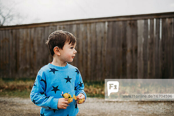 Junger Junge hält gelbe Blumen auf Spaziergang draußen an einem bewölkten Tag