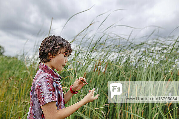 Ein Junge steht an einem bewölkten Tag im hohen Gras und spielt ein Schilfrohr als Flöte