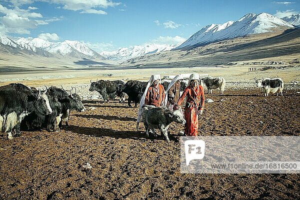Zwei Frauen bringen ein Kalb zum Muttertier auf der Weide  kirgisische Nomaden  Bozai Gumbaz  Wakhan-Korridor  Badachschan  Afghanistan  Asien