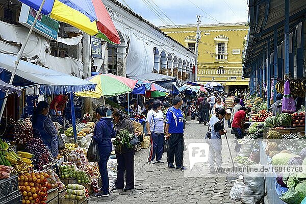 Gasse mit Verkaufsständen am Markt  Otavalo  Provinz Imbabura  Ecuador  Südamerika