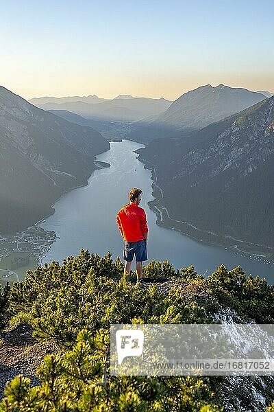 Young man looking over mountain landscape  mountain pines at the top of Bärenkopf  view of Achensee at sunset  on the left Seekarspitze and Seebergspitze  Karwendel  Tyrol  Austria  Europe