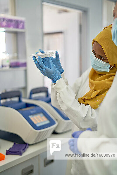 Weibliche Wissenschaftlerin in Hijab und Handschuhen bei der Untersuchung eines Probentabletts