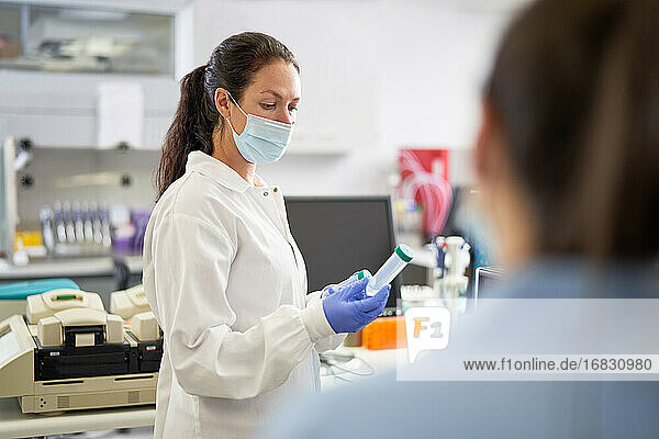 Weibliche Wissenschaftlerin mit Gesichtsmaske  die eine Probe im Labor untersucht