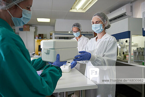 Wissenschaftlerinnen mit Probenkühler im Labor