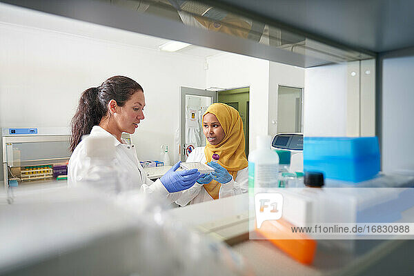 Weibliche Wissenschaftler mit Pipettentablett im Gespräch im Labor